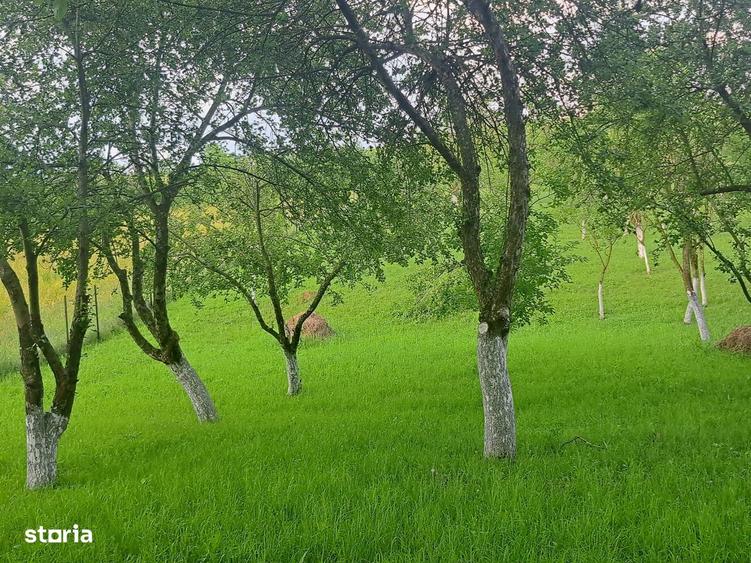 Teren de 2400 mp, în Galda de Jos