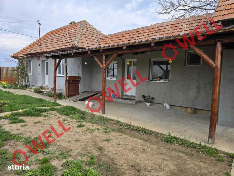 Casă cu Teren 1493 Mp în Ozun
