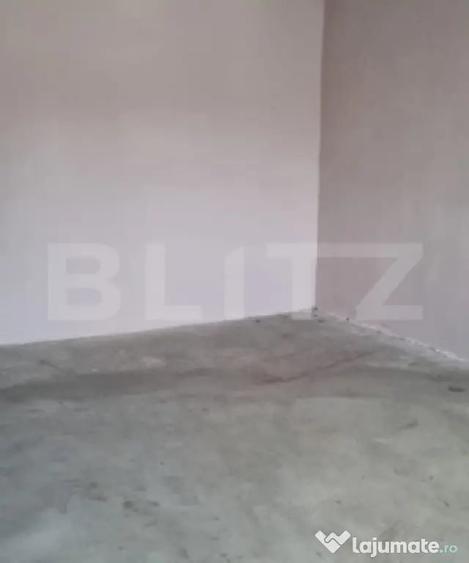 Casă cu 4 camere cu Teren 2580 Mp în Ceanu Mare