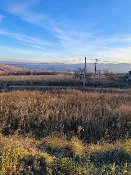 Teren de 1000 mp, în Ciurila