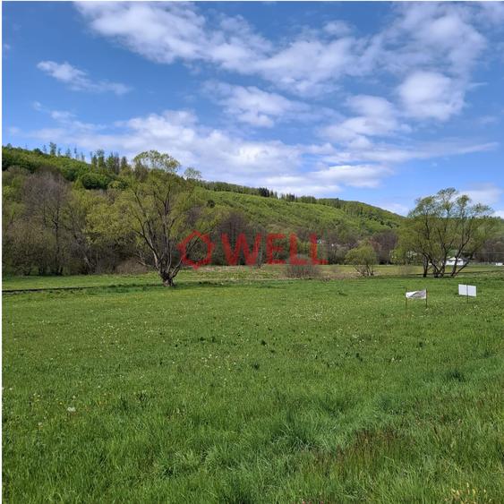 Teren Construcții intravilan de 8957 mp, în Săcădat