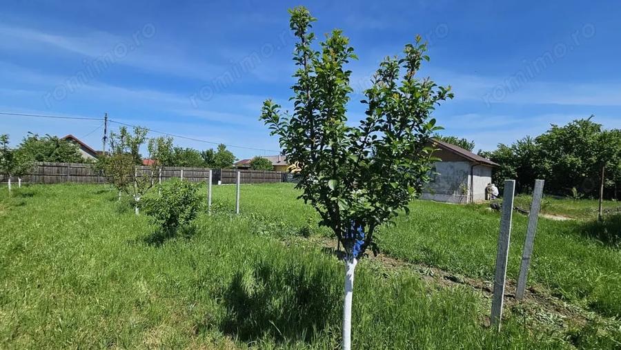 Teren de 29.7 mp, în Dumbrava