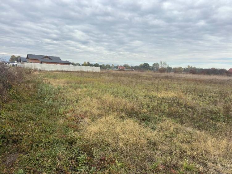 Teren Construcții intravilan de 1500 mp, în Dănești