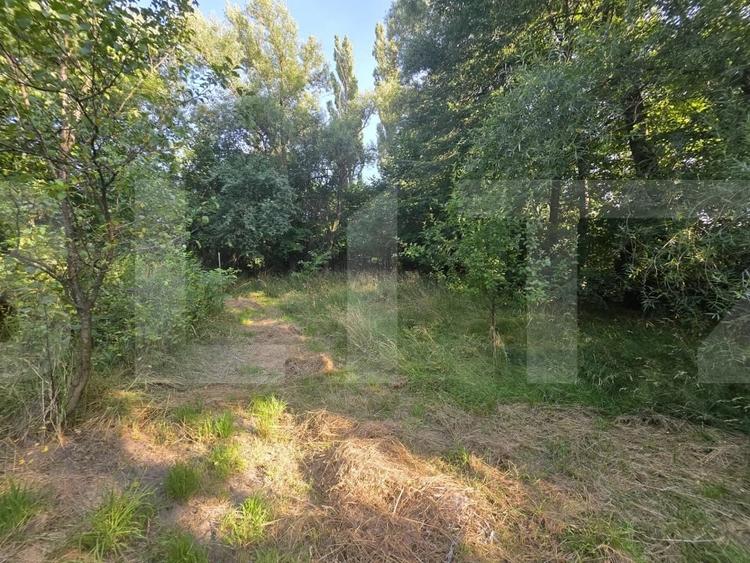 Casa tradi?ionala din lemn refugiul perfect intr-o oaza de lini?te - 9