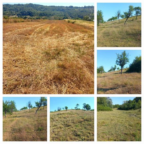 Teren de 82000 mp, în Roșiile
