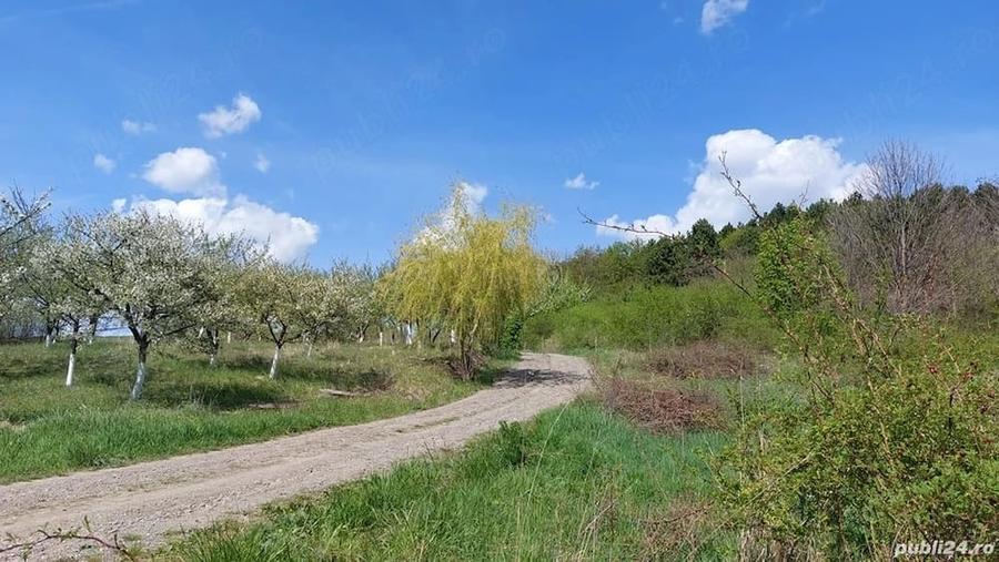 Teren de 1992 mp, în Nord