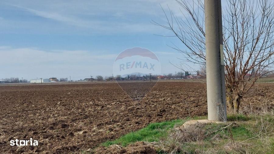 Teren de 5000 mp, în Moara Vlăsiei