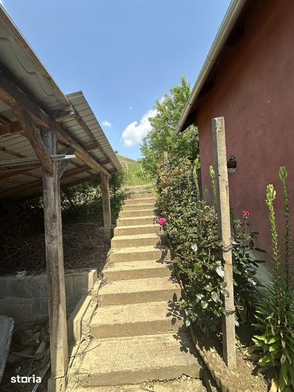 Casă cu 3 camere cu Teren 3500 Mp în Târnăveni