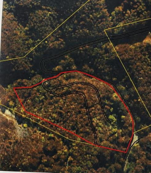 Teren Construcții intravilan de 26000 mp, în Baia Sprie