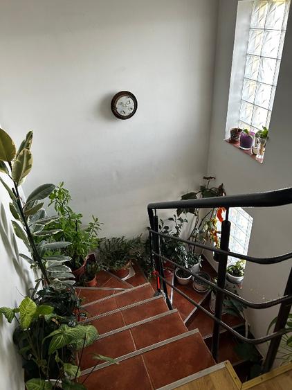 Casă individuală cu 4 camere cu Teren 441 Mp în Lunca Cetățuii
