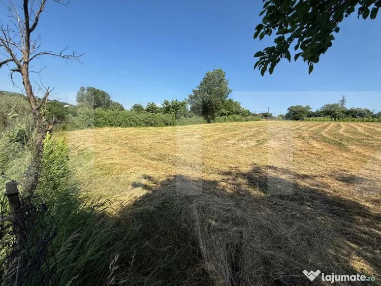 Casă cu 3 camere cu Teren 3095 Mp în Central