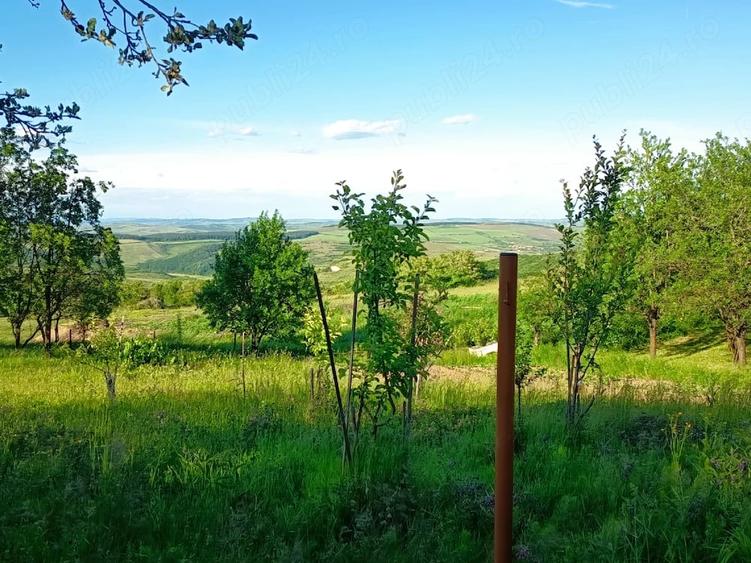 Teren de 1340 mp, în Gheorghieni