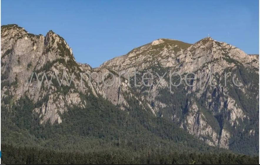 Casă individuală cu 3 camere cu Canalizare în Piatra Arsă