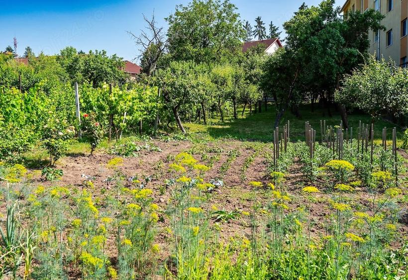 Casă cu Teren 17 Mp în Central