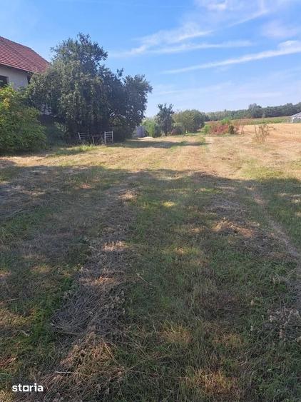 Teren de 600 mp, în Mărtinești
