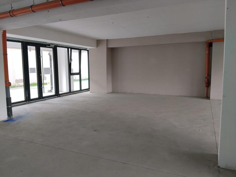 Spațiu comercial, de 74 mp, în Păcurari