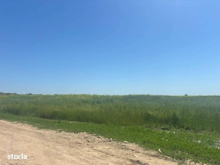Loturi teren 500 m P+1+M Berceni - Vidra Actele la zi Puz valabil - 10