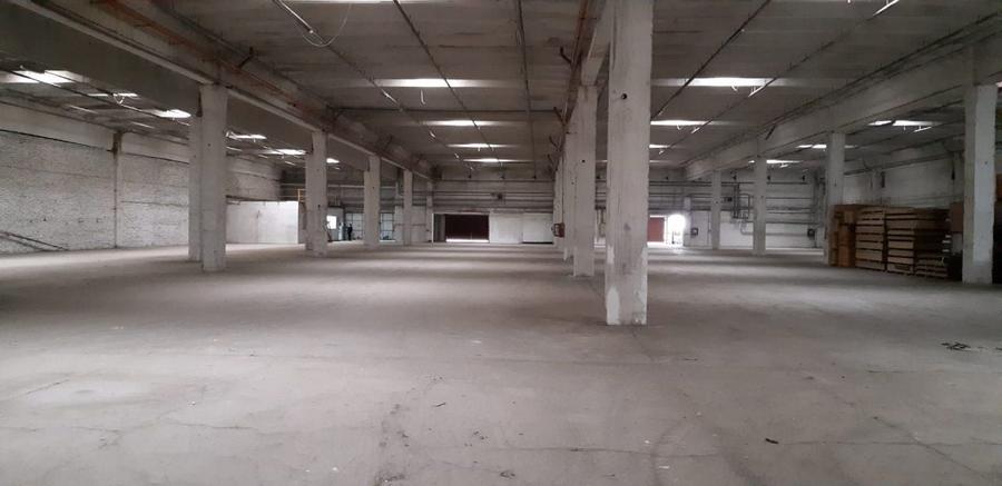Spațiu industrial, de 12,000 mp, în Depozite