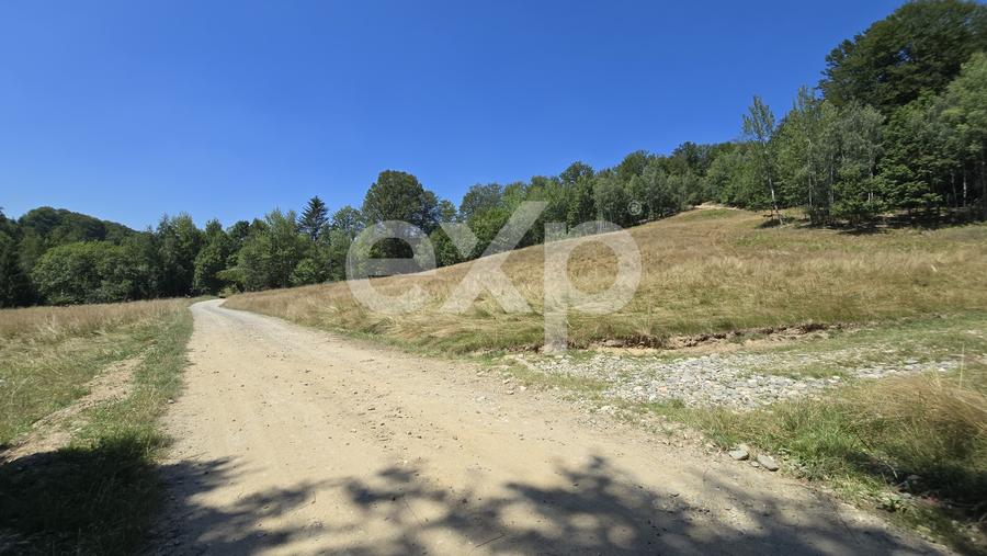 Teren agricol extravilan de 36200 mp, în Poiana Mărului