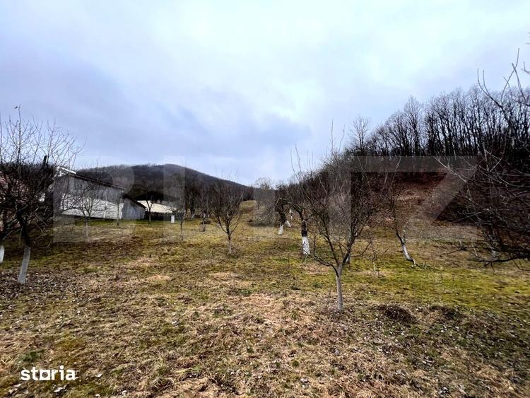 Teren de 3709 mp, în Stremț
