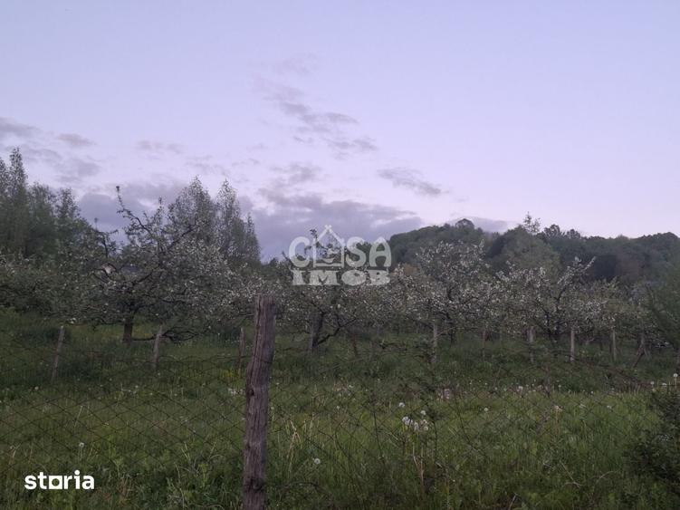 Teren de 1131 mp, în Mănești