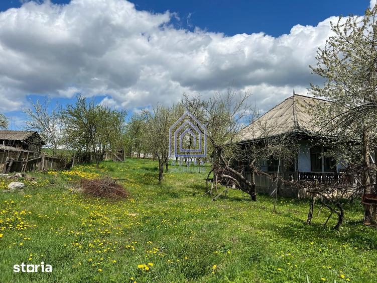 Teren de 4872 mp, în Forăști