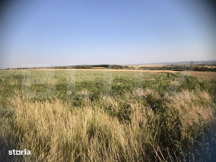 Teren de 30350 mp, în Cârcea