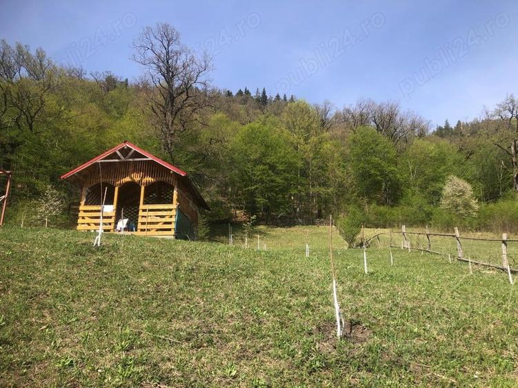 Teren de 6600 mp, în Cuejdiu