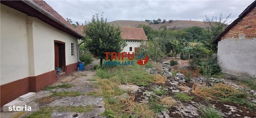 Casa la tara cu 1437mp teren - 4