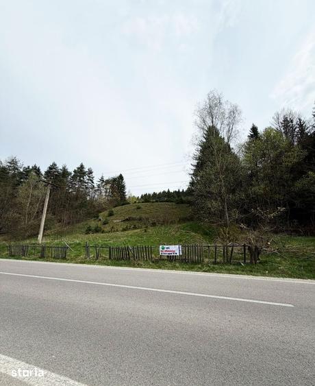 Teren de 10290 mp, în Șinca