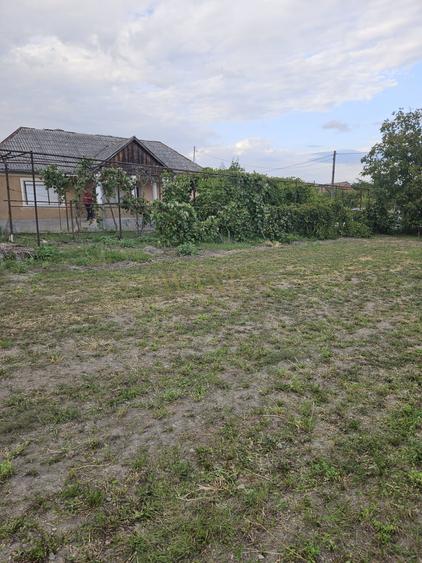 Casă individuală cu 2 camere cu Teren 2900 Mp în Ilișua