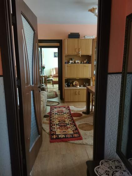 2 camere | Lucacesti, Moinesti, jud. Bacau - 8