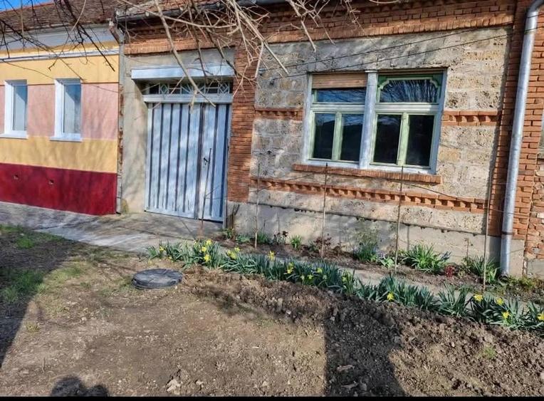 Casă cu 3 camere în Macoviște (Ciuchici)