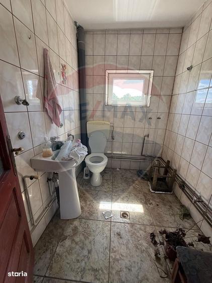 Casa de vacanta cu 8300 mp teren, de vanzare in Preluca Noua!! - 9