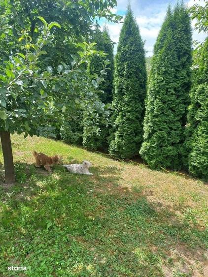 Casă cu 3 camere în Bârsești