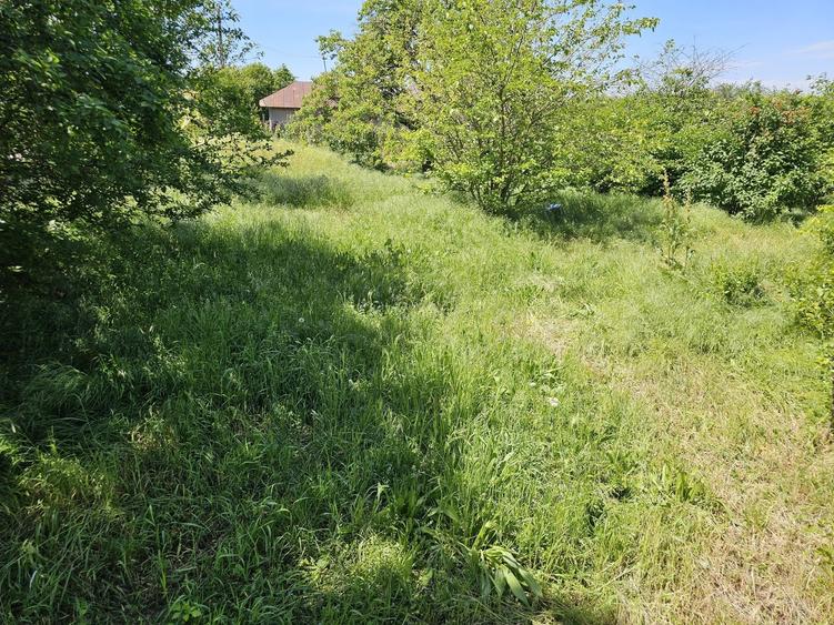 Teren intravilan Stejaru 2077mp cu casa batraneasca NELOCUIBILA, langa Bucuresti - 1