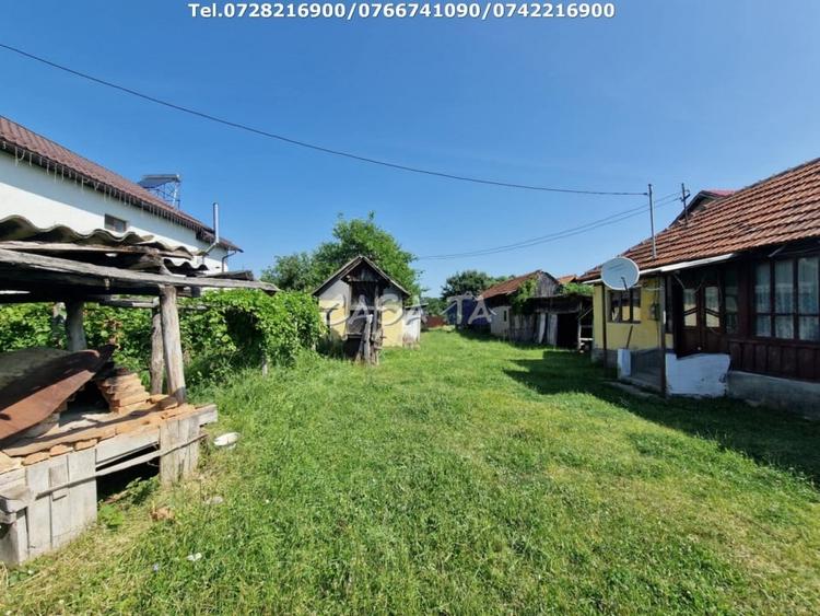 Casă individuală cu 3 camere cu Teren 4721 Mp în Dănești