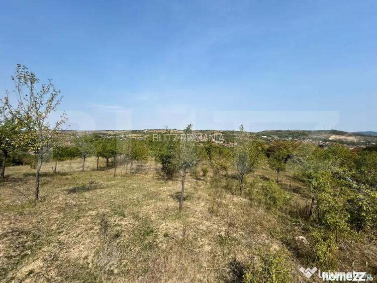 Teren extravilan de vanzare, 5.800 mp, zona Aiud - Aiud (Alba)