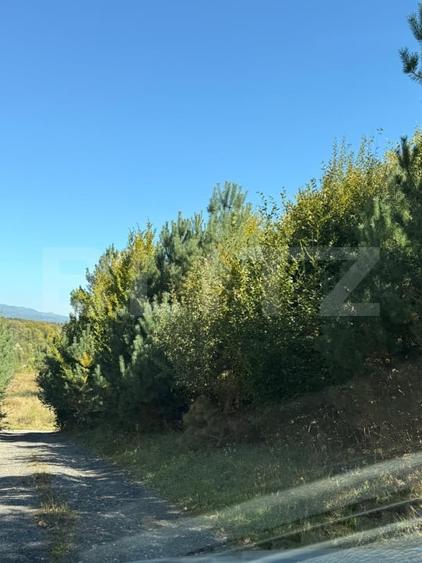 Teren Construcții intravilan de 2000 mp, în Codlea