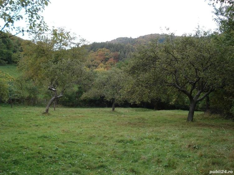 Teren de 5000 mp, în Central