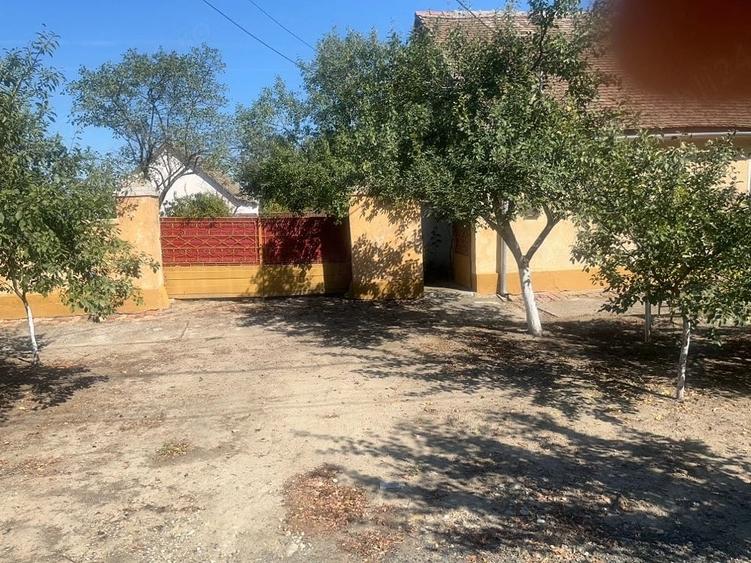 Casă cu 6 camere cu Teren 3000 Mp în Rudna