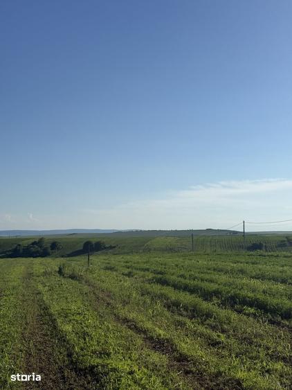 Teren de 280 mp, în Rediu