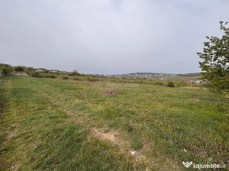 Teren în Paleu