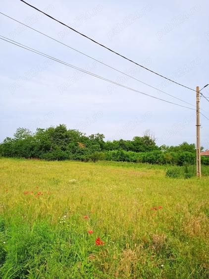 Teren de 1000 mp, în Valea Stânii
