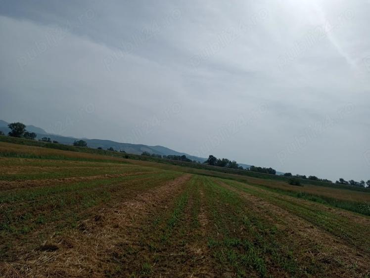 Teren de 6600 mp, în Central