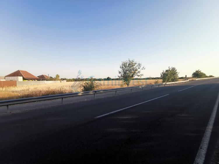 Teren Construcții intravilan de 9800 mp, în Salonta