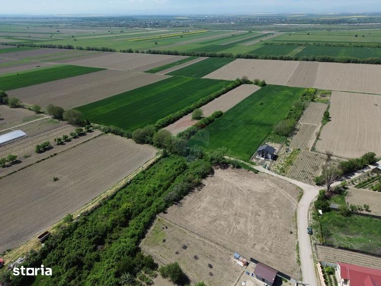 Teren de 1660 mp, în Vânători