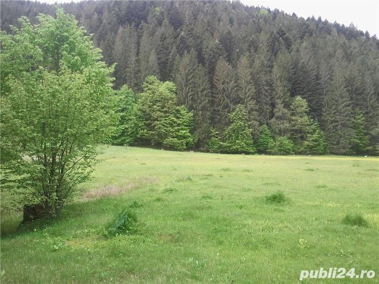 Teren de 5000 mp, în Brateș