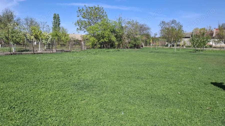Casă cu 3 camere cu Teren 1472 Mp în Central