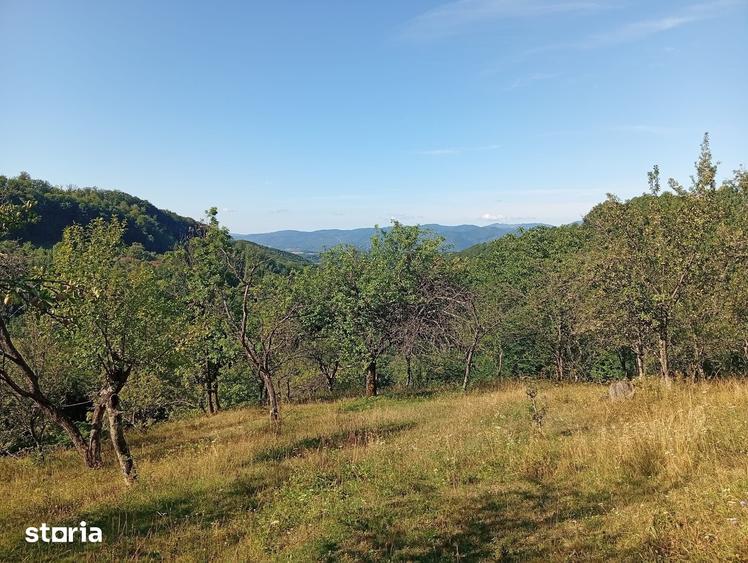 Casă cu 2 camere cu Teren 28000 Mp în Hălmagiu